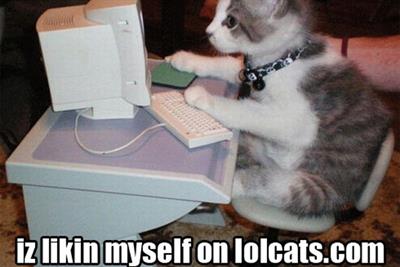 Back in the 1980s, no one imagined the potential of the internet #lolcats #web25