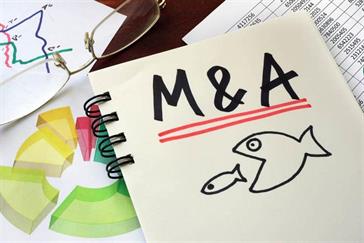 M&A deals fall despite entry of management consultancies