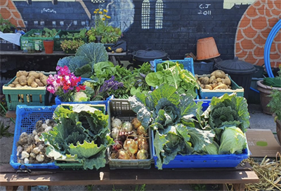 A new study examines how city-grown crop yields compare to conventional, rural counterparts (Credit: Roots in the City Community Garden in Liverpool)