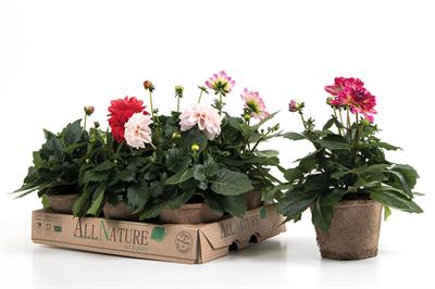 Grower sundries - Options for nurseries