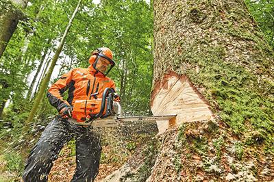 Chainsaws: the 121.6cc MS 881 from Stihl is the most powerful introduction this year - credit: © Andreas Stihl AG & Co