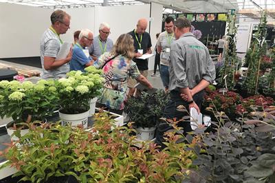 Nursery Trade Fair Foundation launches novelty showcase + events listing