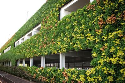 The living wall on the National Grid's Warwick HQ carpark