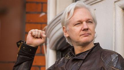 Cat got your internet? Ecuador tells Assange to look after kitty, stop meddling in foreign affairs