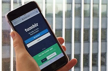 Tumblr bug bounty program detects flaw, no user info lost
