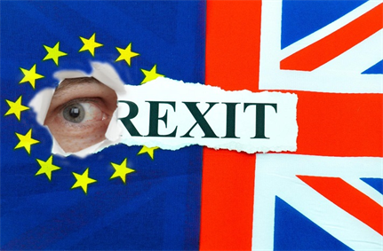 UK's official Brexit documentation app is porous