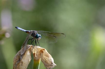 VMware repairs out-of-bounds read bug in three Horizon products