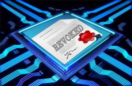 Bug in digital certificates could stop websites working