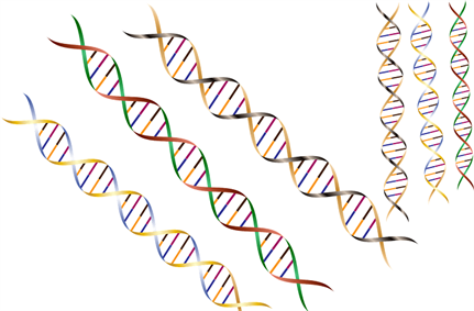 MyHeritage, 23andMe, genetic testing firms join forces with FPF to develop guidance to protect DNA data