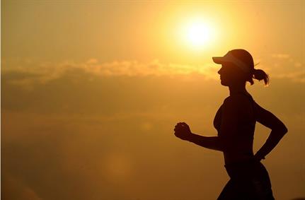 Polar fitness app found to reveal movements of military personnel, government agents
