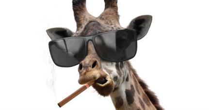 Fearing backlash, IoT hacker 'TheHackerGiraffe' no longer sticking neck out for PewDiePie