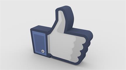 Irish privacy regulator to investigate Facebook over passwords