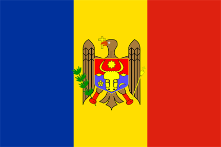 Moldovian sentenced for stealing millions using Bugat banking malware