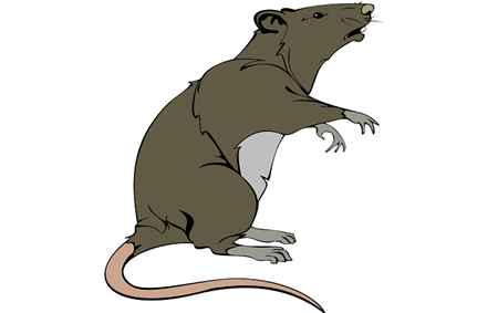 New report pins down location of Emotet RAT controllers