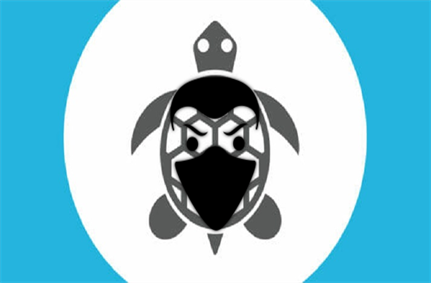 Sea Turtle DNS hijackers linked to breach of Greece's ccTLD organisation