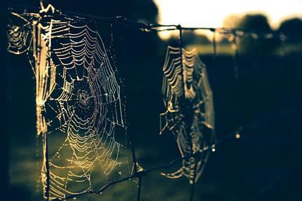 Report: Details on 617 million user accounts up for sale on dark web