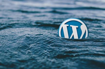 CMS hackers focus on WordPress