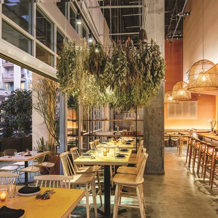2020 WIN Awards entry: Yapa - Preen, Inc.