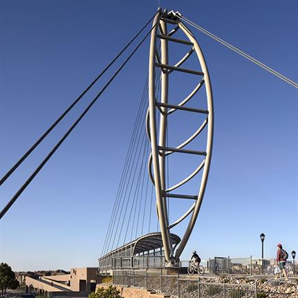 2019 WAN Awards: Lone Tree Pedestrian Bridge - Fentress Architects