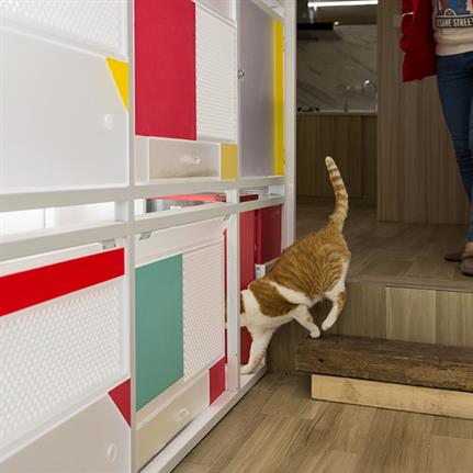 2019 WAN Awards: Pet home - Zhanghaiao