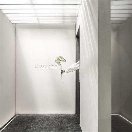 2021 WIN Awards entry: Absolute Flower Shop - MDO