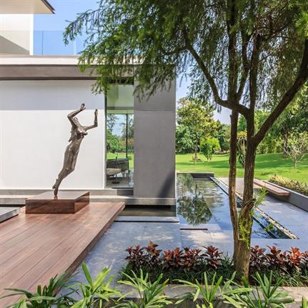 Soaring palm centres contemporary home