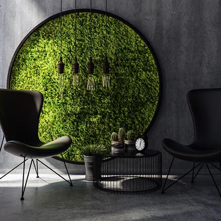 Don’t adjust your dial: Moss is the growing trend in UK office design