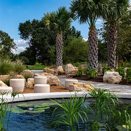 Houston's first botanic gardens: West 8’s living museum for plants