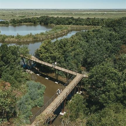 SWA Group and Schaum/Shieh design high boardwalk in High Island US