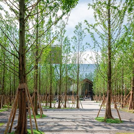 2020 WAN Awards entry: Chongquin Forest Park - A&N Shangyuan Landscape Design