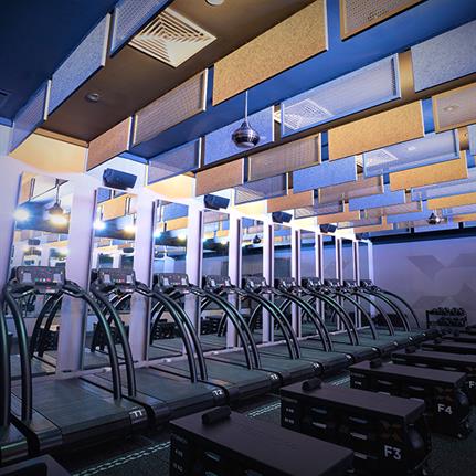 2020 WIN Awards entry: Shine X - Barbara Chancey Design Group