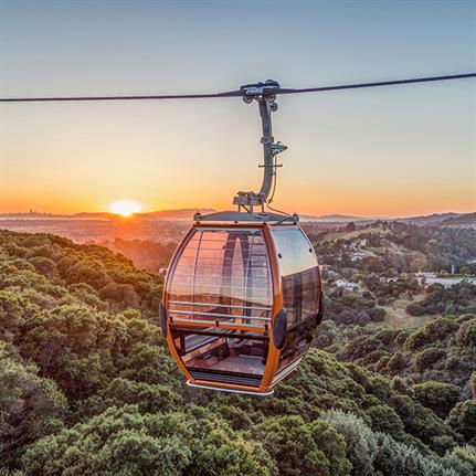 Ride through the skies to access new Californian Zoo trail