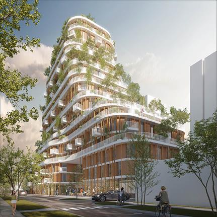 2021 WAN Awards entry: Vancouver Forest - Urban Agency