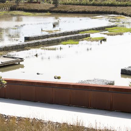 2019 WAN Awards: Vaughans Stream Corridor Wetlands + Bridge - LandLAB