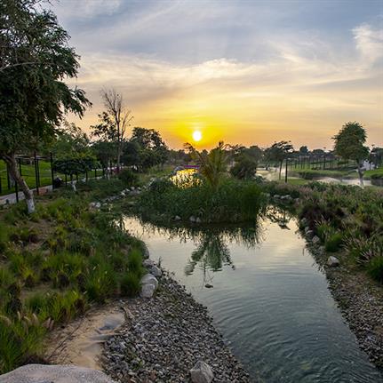 2021 WAN Awards entry: Dubai Safari - Dubai Municipality