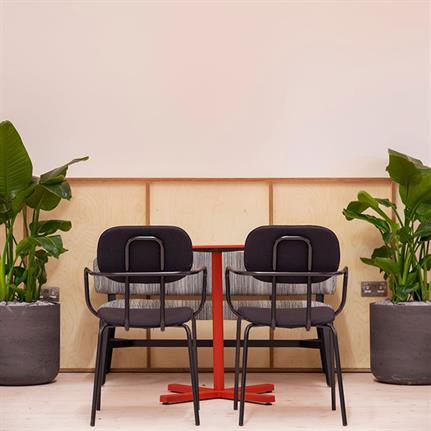 Colourful cafe-style inspired office