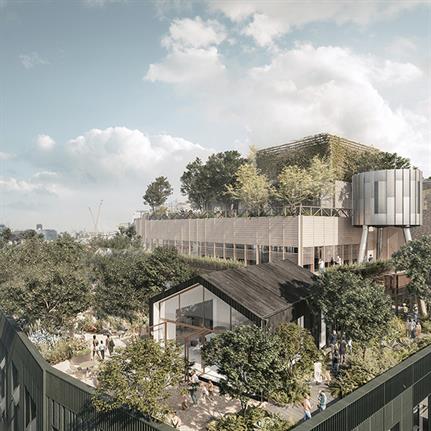 2021 WAN Awards entry: Roots in the Sky - Fabrix