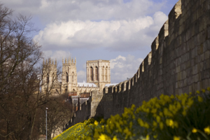 York and Scarborough Conferences puts on event planners showcase