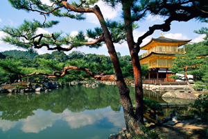 Kyoto Convention Bureau expands team