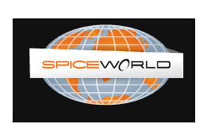 Microsoft and HP support Spiceworld B2B conference