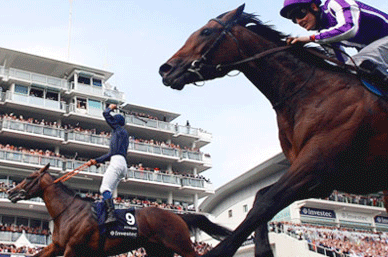 Audi and Aston Martin spur Epsom Downs Racecourse to 12% growth