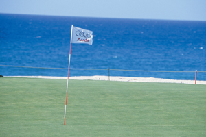 Audi reappoints TMB to run Audi Fleet Sales Golf Challenge