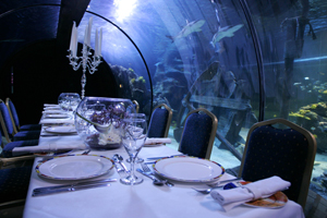 Alton Towers opens pirate-themed aquarium