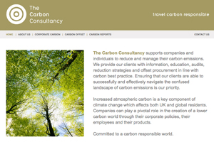 The Carbon Consultancy