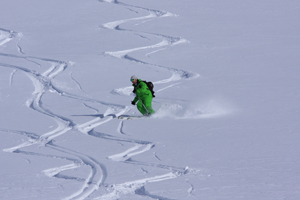 Corporate ski enquiries up
