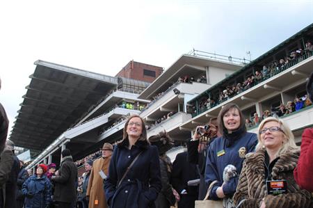 Zibrant at Cheltenham Festival