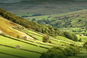 Raithwaite Hall is in the North Yorkshire Moors