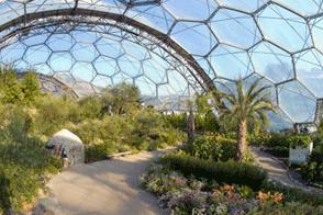 Eden Project damaged and forced to cancel events after flooding