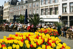 Dell and Trayport to attend Holland fam trip