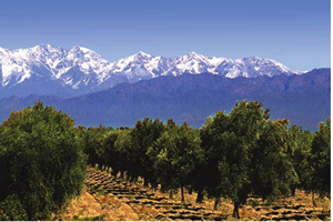 Mendoza, Argentina is the location of Intercontinental Hotels & Resorts' new hote
